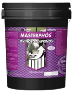 MASTERPHÓS